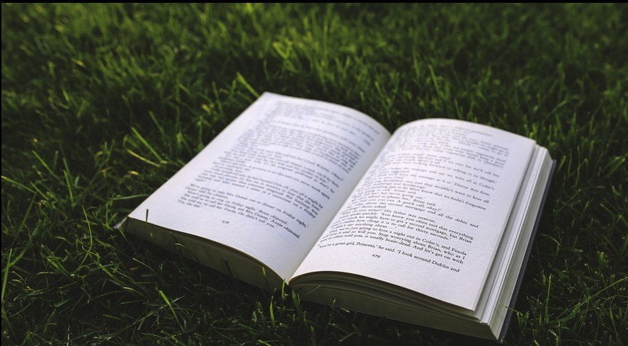 nature-grass-green-book-large