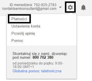 ustawienia płatności
