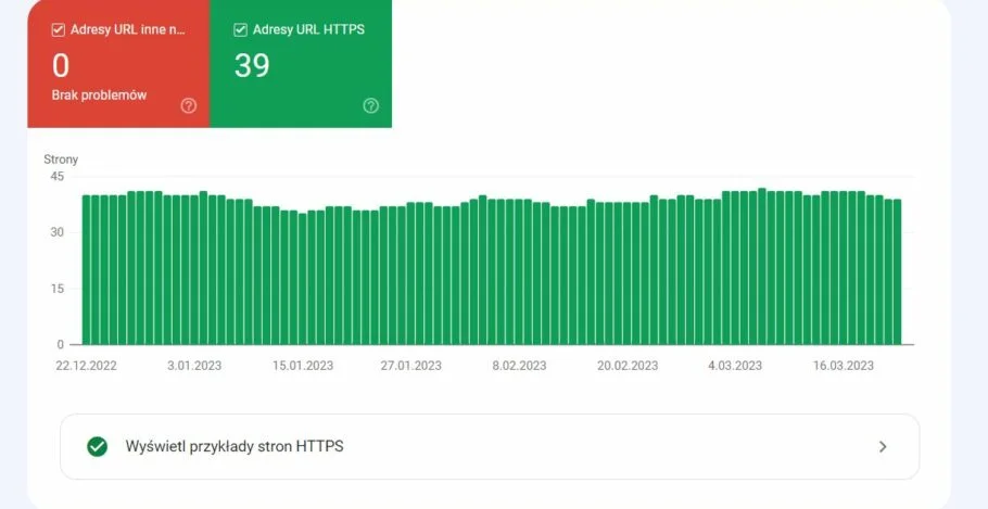 Raport HTTPS w Google Search Console