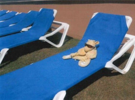 zyrafa-joshie-opala-sie-plaza