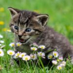 SEMówka #3.15 – tego nie możesz przegapić