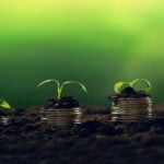 Case Study: Przychody liczone w milionach, czyli jak dzięki zrozumieniu potrzeb Klienta stworzyliśmy doskonałe reklamy!