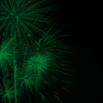 Podsumowanie roku 2022 w DevaGroup