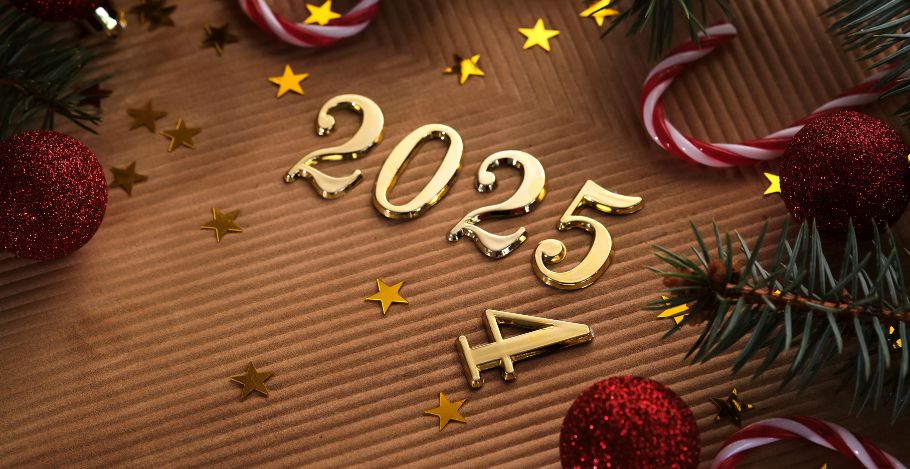 Podsumowanie 2024 roku w DevaGroup