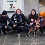 Odwiedziliśmy Schronisko dla Bezdomnych Zwierząt w Krakowie