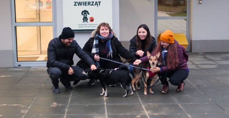 Odwiedziliśmy Schronisko dla Bezdomnych Zwierząt w Krakowie