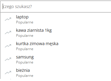 Popularne wyszukiwania