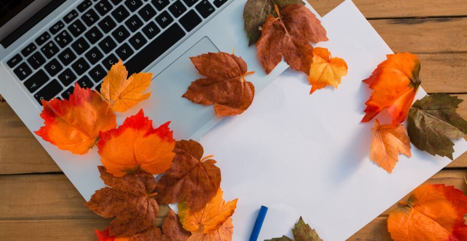 SEOpress – listopad 2025