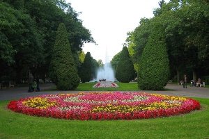 bialystok-atrakcja-dywan-kwiatowy