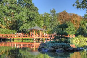 wroclaw-atrakcja-ogrod-japonski