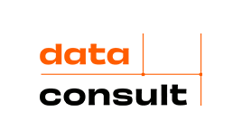 logo-data-consult