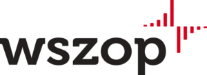 Marketingowe tworzenie i promocja stron internetowych na WordPressie