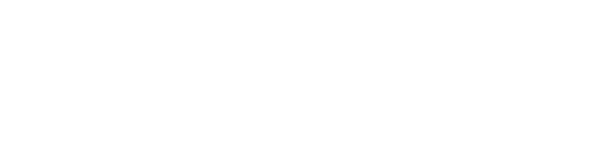 webmetric logo white